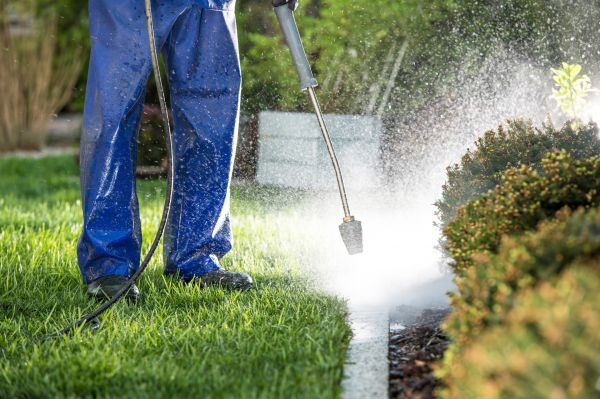 Curb Cleaning in Honolulu