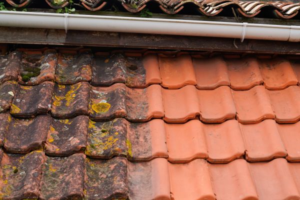 Industrial Roof Cleaning in Honolulu